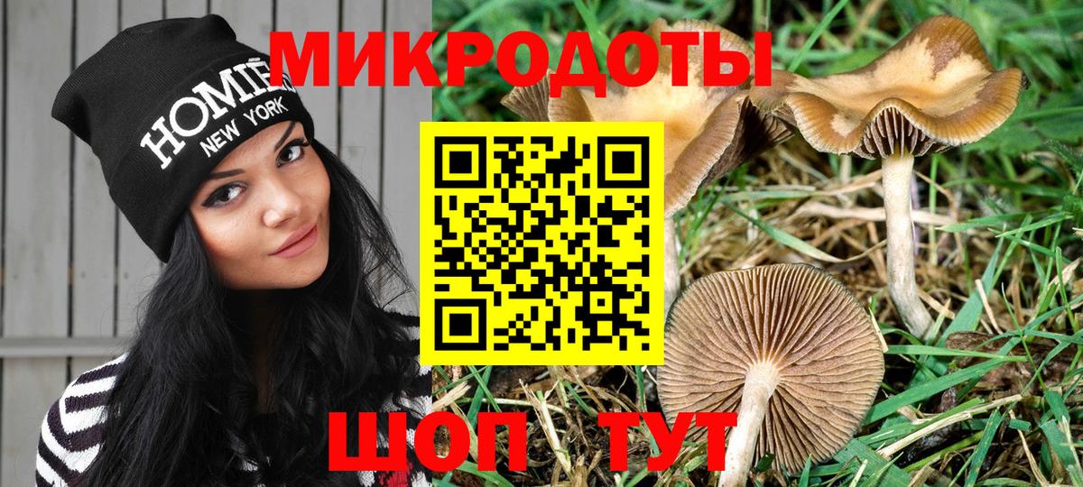 Псилоцибиновые грибы GOLDEN TEACHER  Вход с VPN  Нефтекамск 